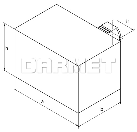 bison_1201_rys.jpg