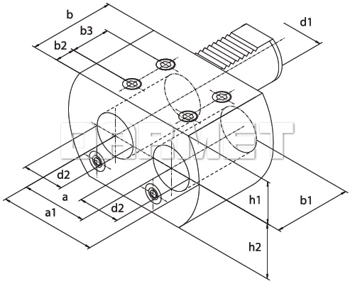 bison_1252_rys.jpg