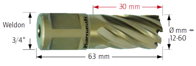 Wiertło koronowe z chwytem Weldon, Gold-Line - długość części roboczej - 30MM - KARNASCH (20.1260u)