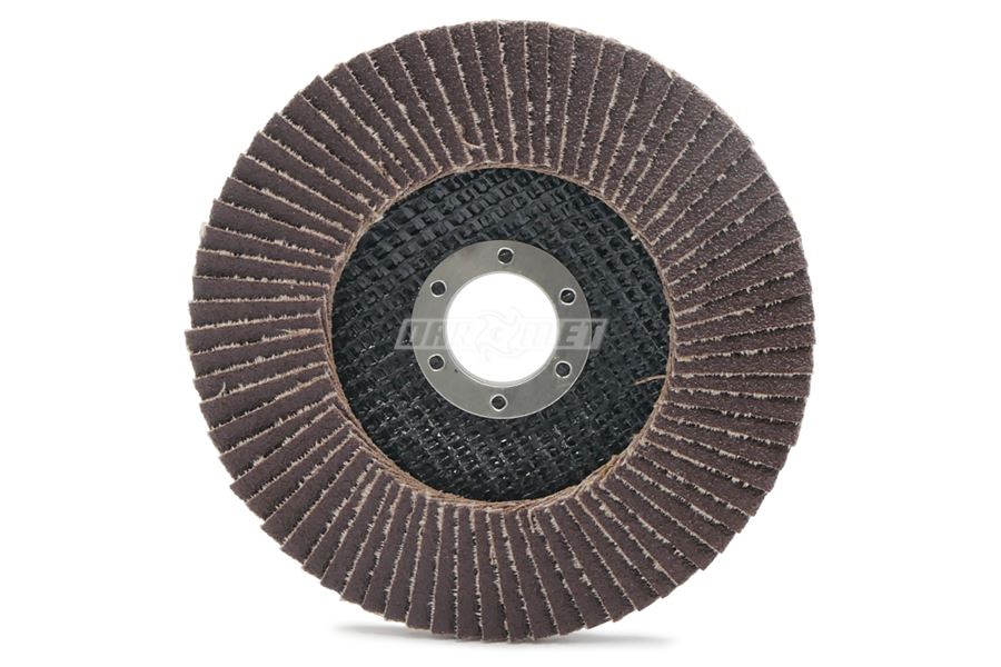 Ściernica lamelkowa 125 x 22,2 mm | P60 | ECO-LINE | wersja I - ANDRE 810073