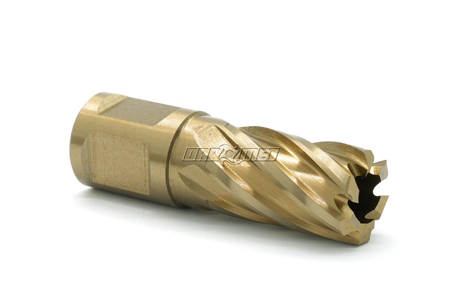 Wiertło koronowe z chwytem Weldon 3/4" | Gold-Line - 19,5 x 30 mm - KARNASCH 20.1260U0195