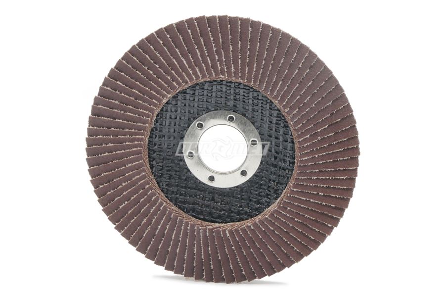 Ściernica lamelkowa 125 x 22,2 mm | P80 | ECO-LINE | wersja I - ANDRE 810074