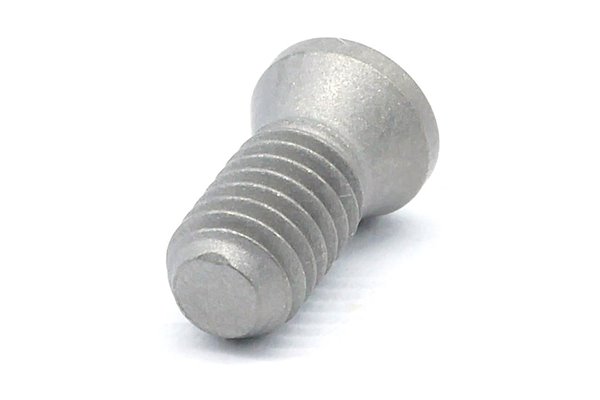 śruba mocująca AME 4x9,5