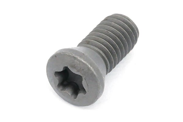 Śruba mocująca M5 x 12 mm (SGT5X12)