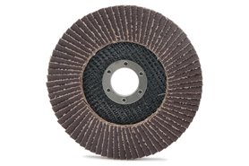 Ściernica lamelkowa 125 x 22,2 mm | P60 | ECO-LINE | wersja I - ANDRE 810073