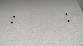 Tablica adresowa | tabliczka na dom| dekoracja ścienna | wycianie laserem | 48 cm - DARMET