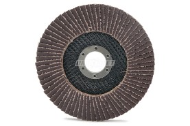 Ściernica lamelkowa 125 x 22,2 mm | P60 | ECO-LINE | wersja I - ANDRE 810073