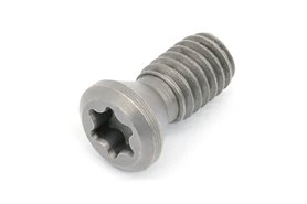 Śruba mocująca M4 x 10 mm (SGT4X10)