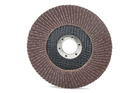 Ściernica lamelkowa 125 x 22,2 mm | P80 | ECO-LINE | wersja I - ANDRE 810074