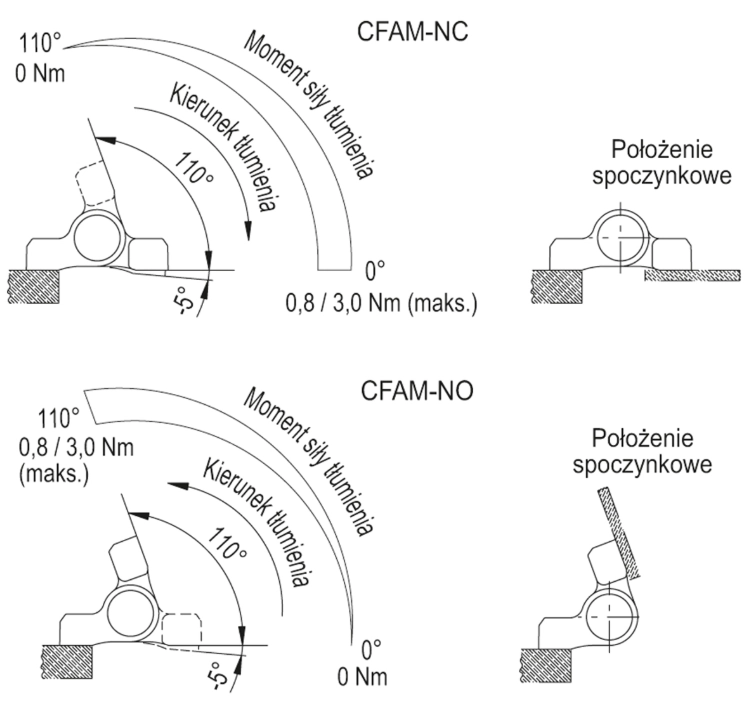 cfam_zakres_obrotu
