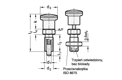 trzpien_ustalajacy