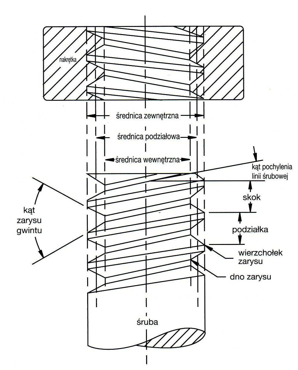 śruba z gwintem